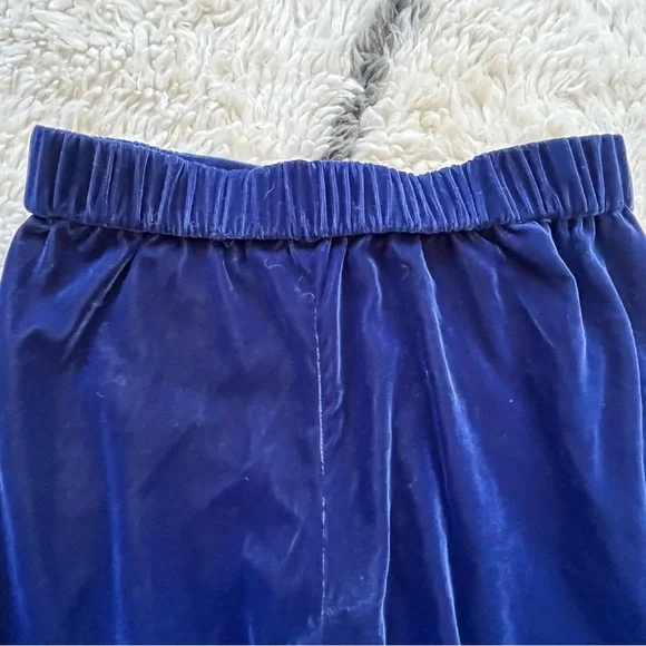 J.Crew Velvet Pull-On Pants – Navy – 4P - Picture 7 of 7